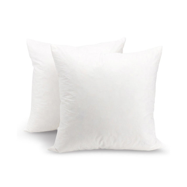 Cheer Collection 95% Feather/5% Down 2-Pack Pillow Inserts, 22" x 22"