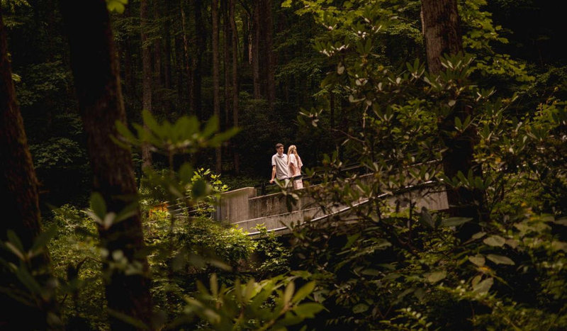 Hero Slideshow Image 2
