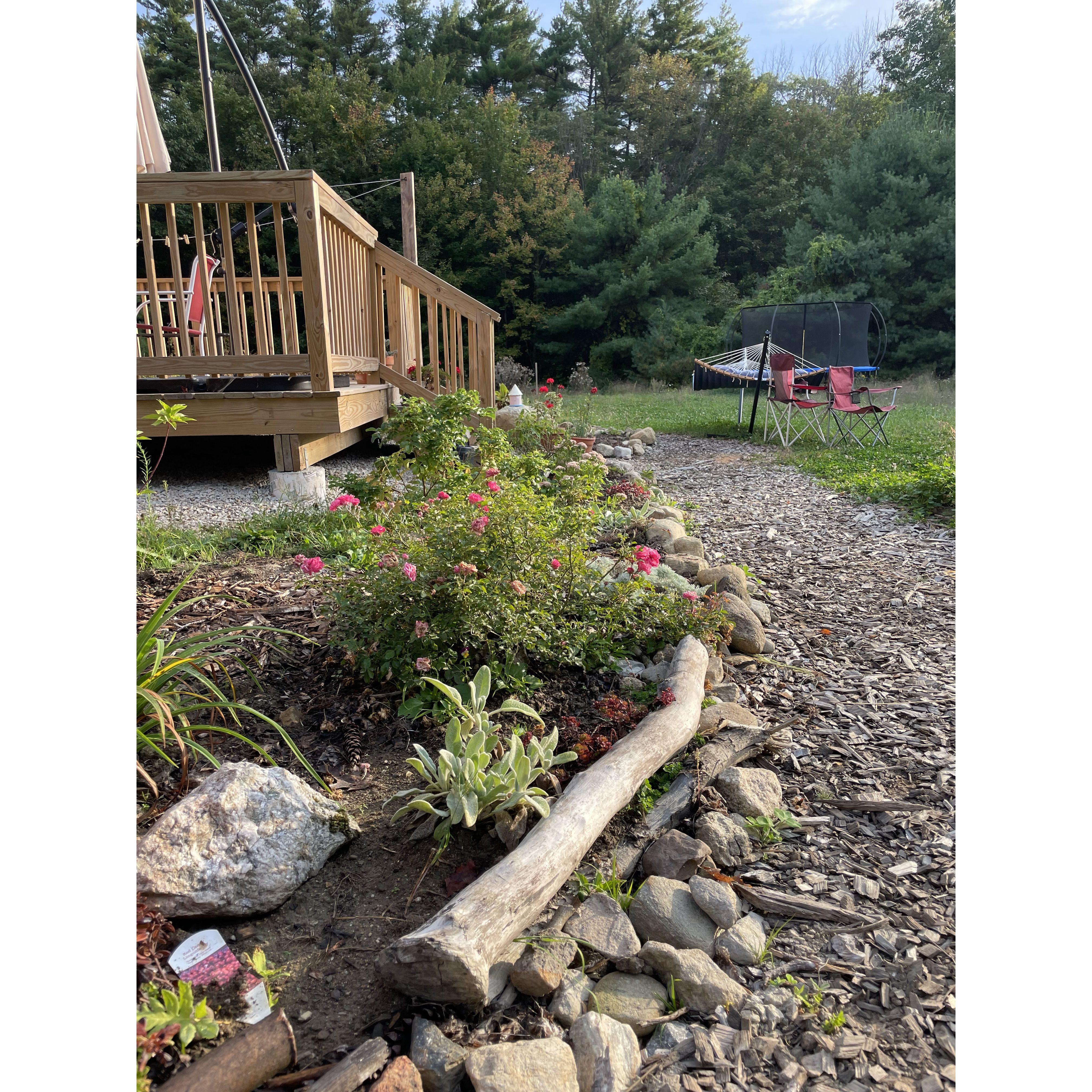 Sara's "nursery" gardens, a holding ground for future clients plants