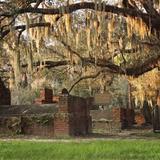 Colonial Park Cemetery