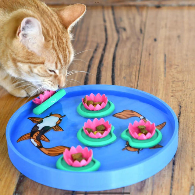 Koi pound cat treat floating puzzle