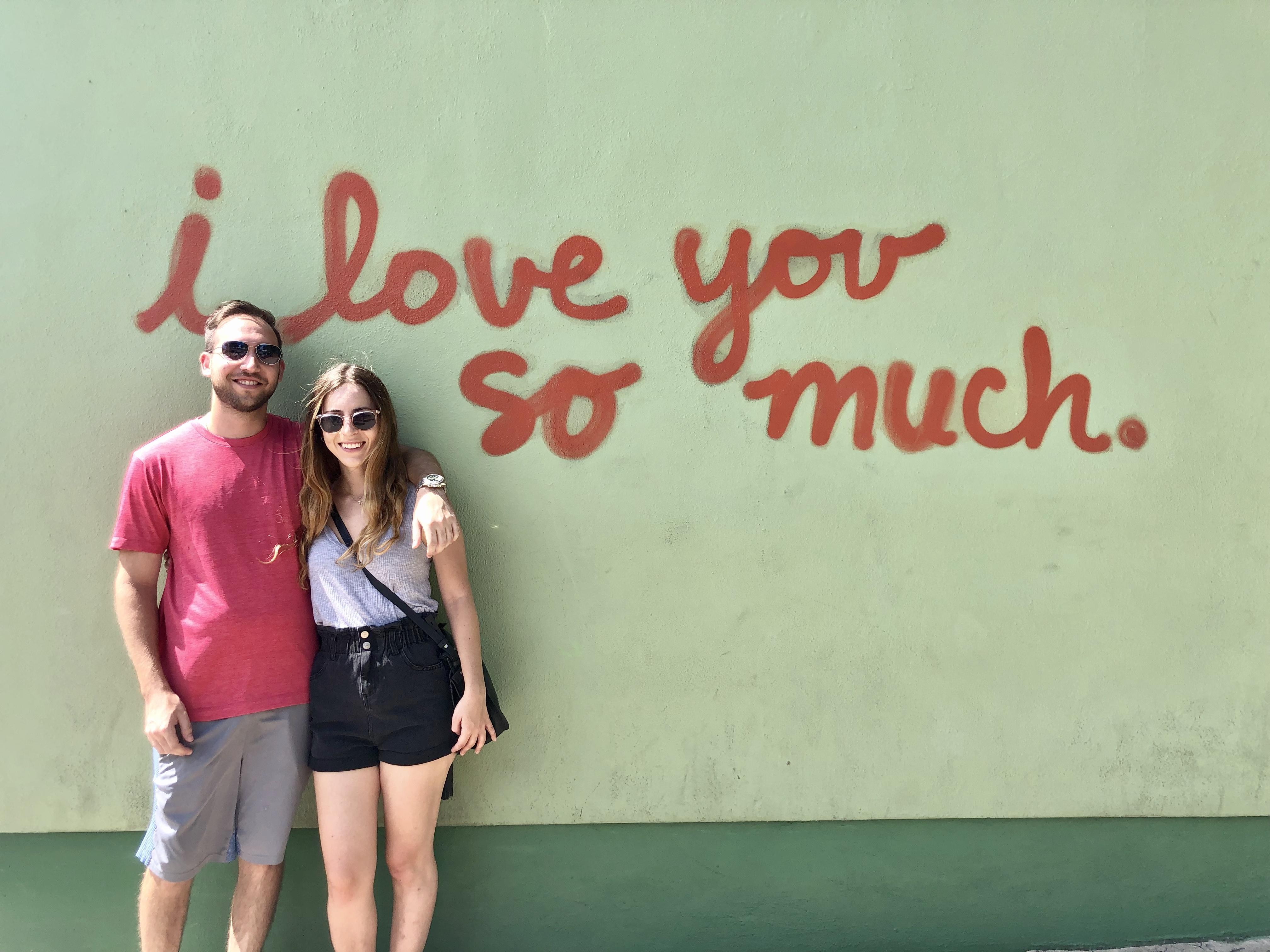 The Wedding Website of Stephanie Gorin Perlman and David Perlman