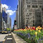 Magnificent Mile