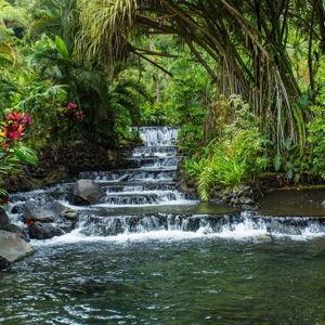 Hot Springs at Arenal Volcano