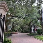College of Charleston