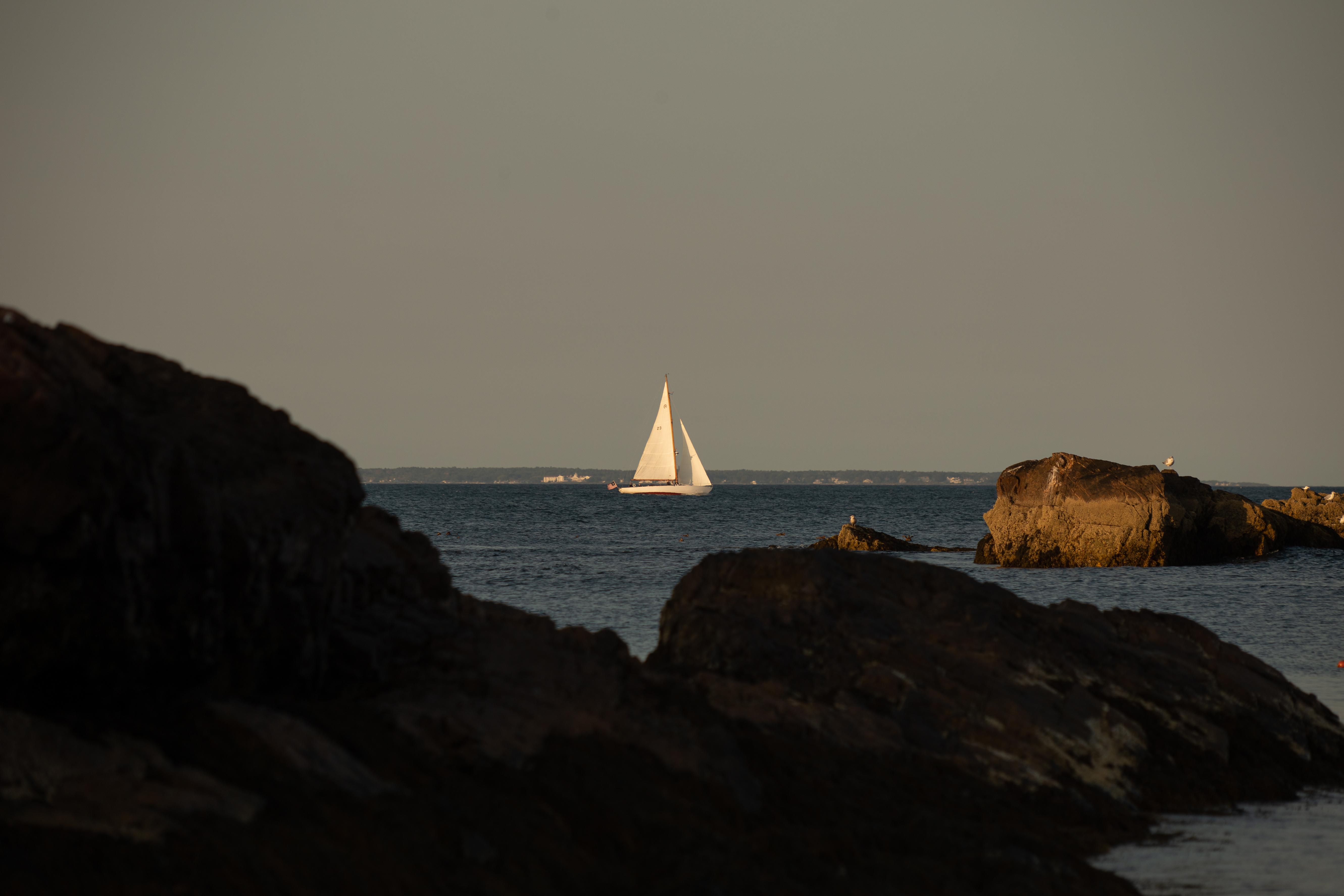 The Wedding Website of Abigail Murphy and Griffin Simmons