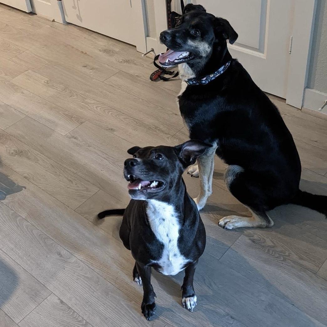 Astro & Heidi's first meeting