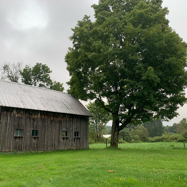 Horse fence and barn renovation