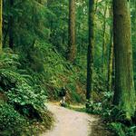 Wildwood Trailhead at Germantown Rd