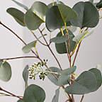 Artificial Silver Dollar Eucalyptus Stem