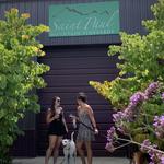 Saint Paul Mountain Vineyards