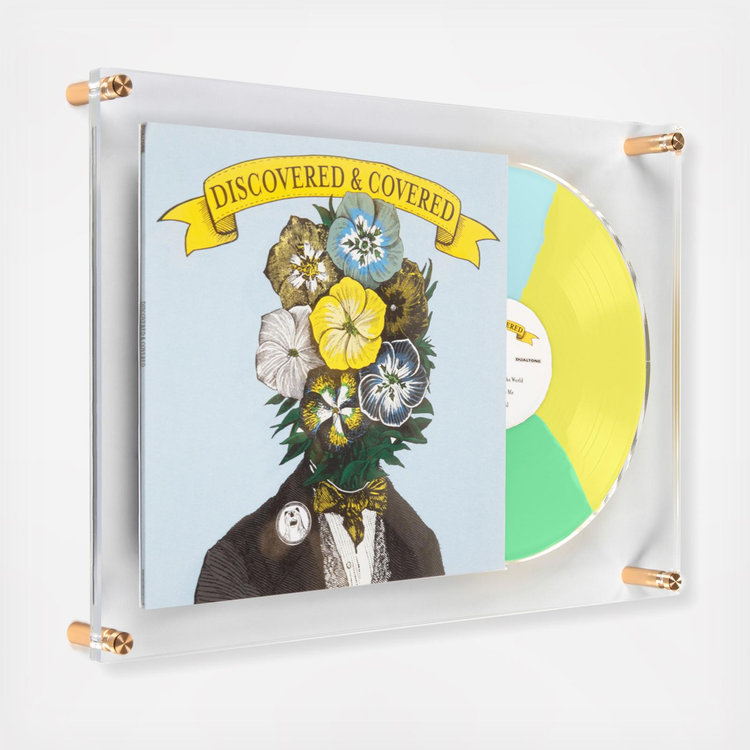 Wexel Art, Record Reveal Acrylic Wall Frame | Zola