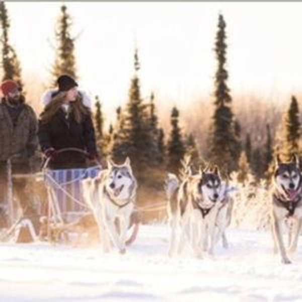 Dog sledding Excursion on our Alaskan Honeymoon