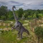 Dinosauri in Carne e Ossa - il Parco △