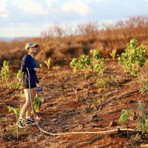 Donation to Re-Greening Lahaina