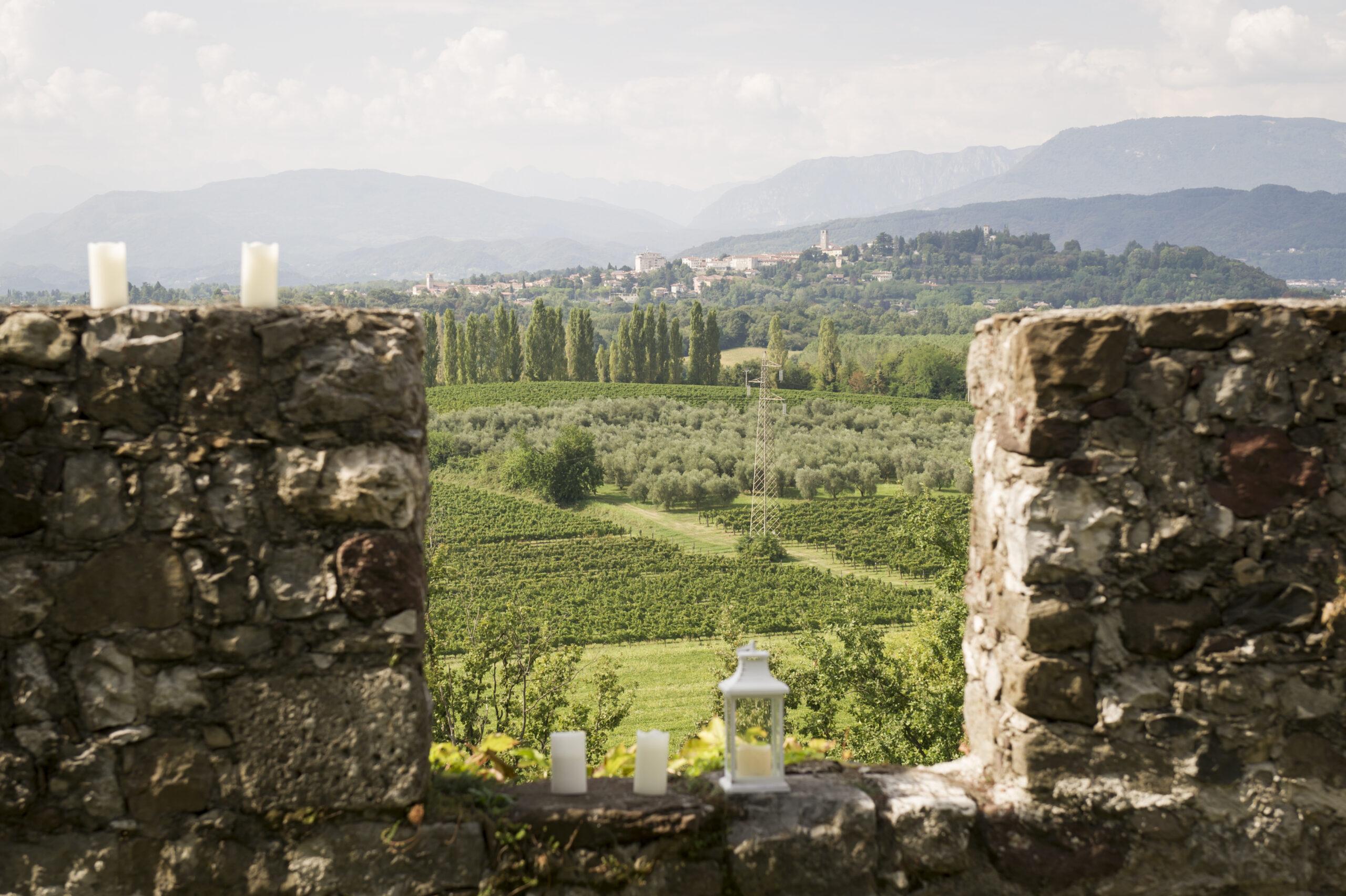 The Wedding Website of Sumire Antonioli and Jamie Littleboy