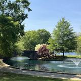 Freedom Park