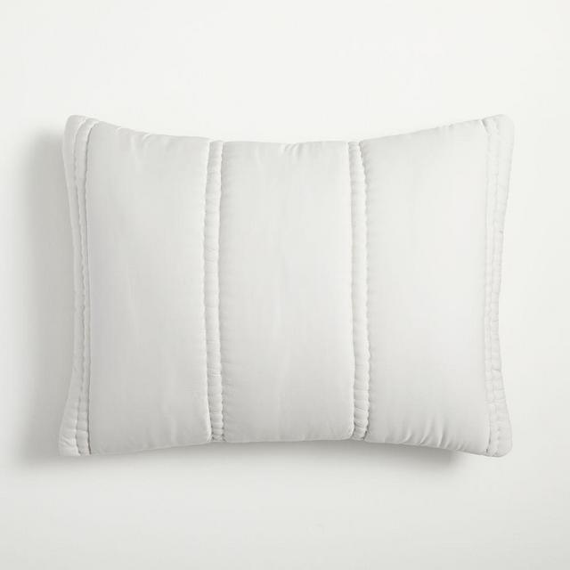 Silky TENCEL Plush Comforter, Standard Sham Set, Frost Gray