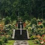 International Rose Test Garden