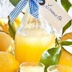 Limoncello Tasting