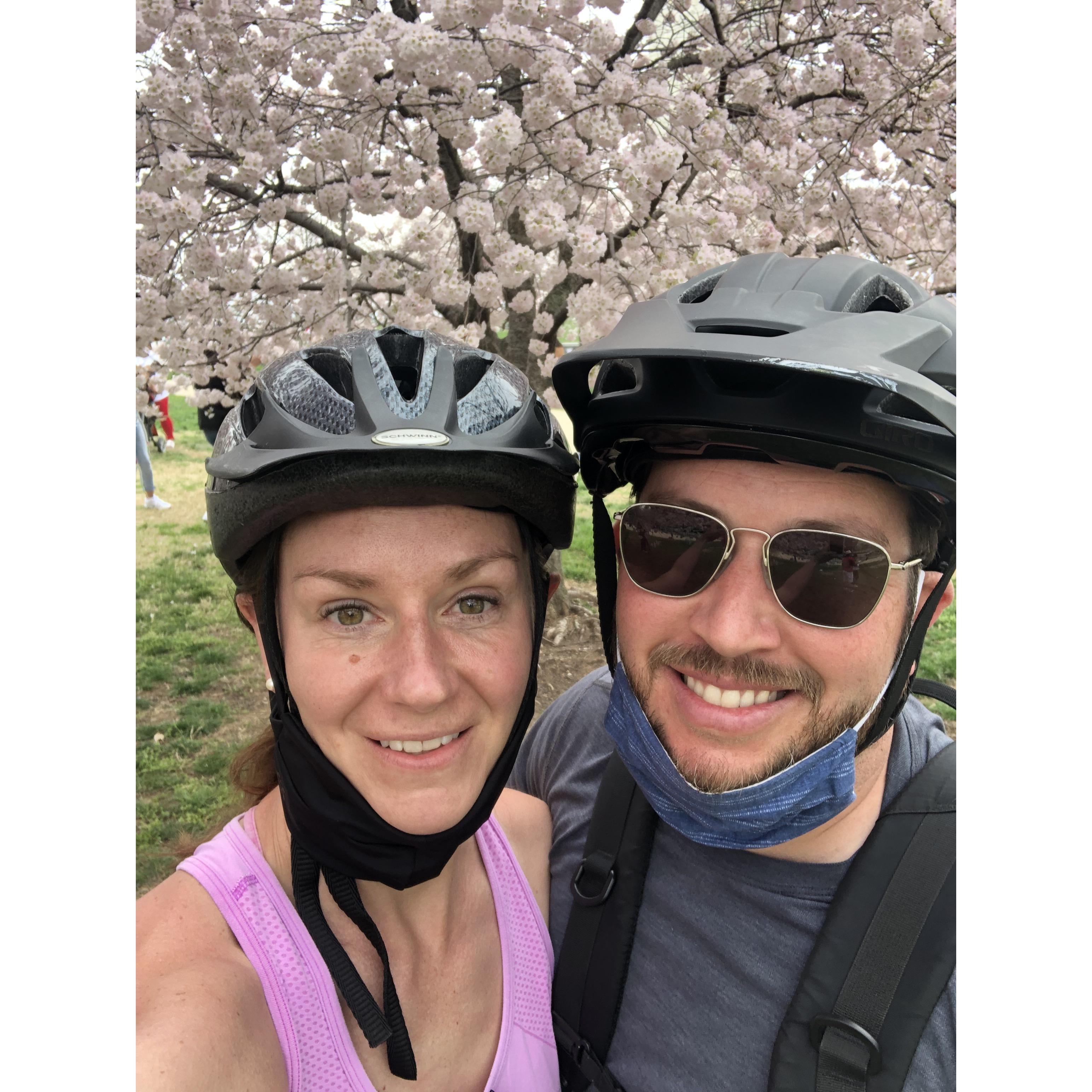 DC Cherry Blossoms "Covid" style