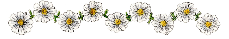 5d49df74-ae78-4dfb-a225-514b01e3078a