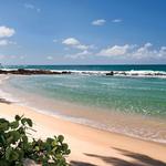 Dorado Beach East South Gate