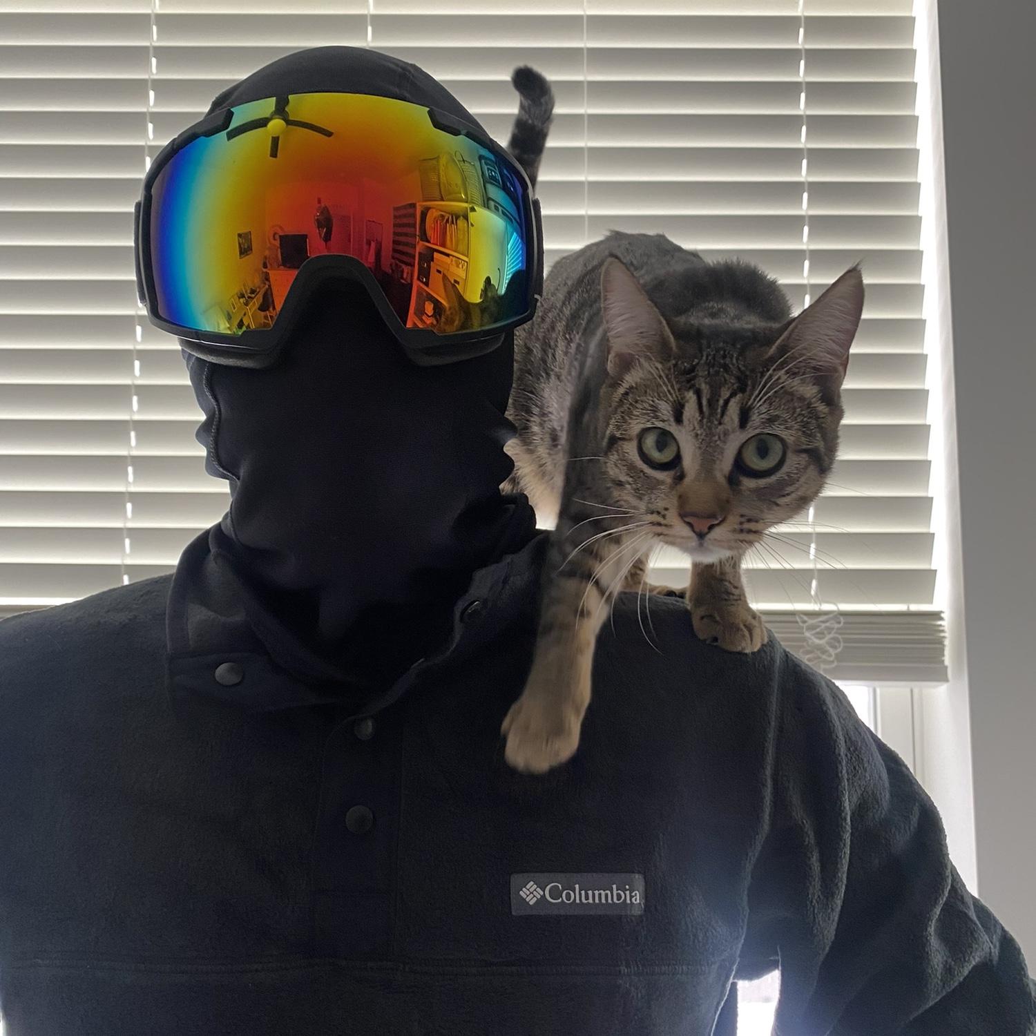 With Nala 2024