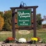Shelburne Vineyard