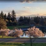 Mount Tabor