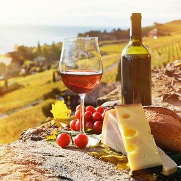 Tuscan Wine & Cheese Tasting in Florence