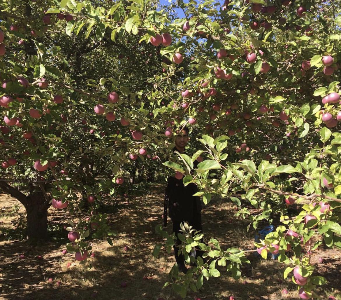 The day Hamza asked Lia to be his girlfriend, apple picking in Pullman - Sept. 2016