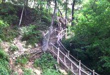 Cameron Park