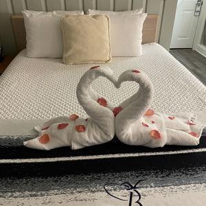 Our Honeymoon Fund
