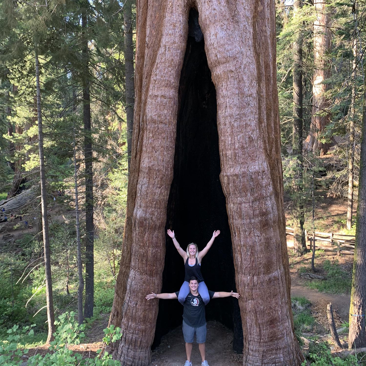 Sequoia National Park in CA before Hawaii!