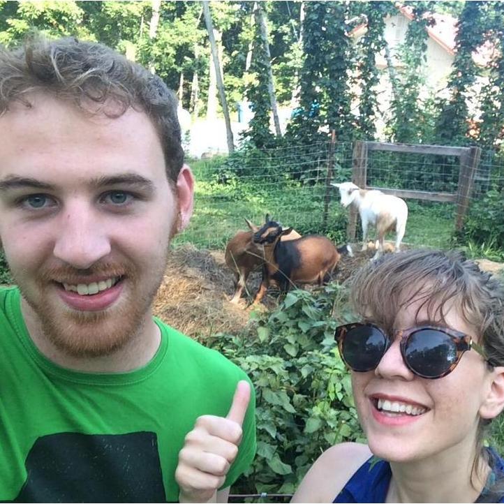 Visiting the Scratch goats