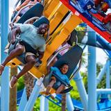 Busch Gardens Tampa Bay