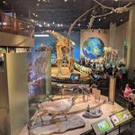 Perot Museum of Nature and Science