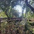 San Luis Obispo Creek Trail