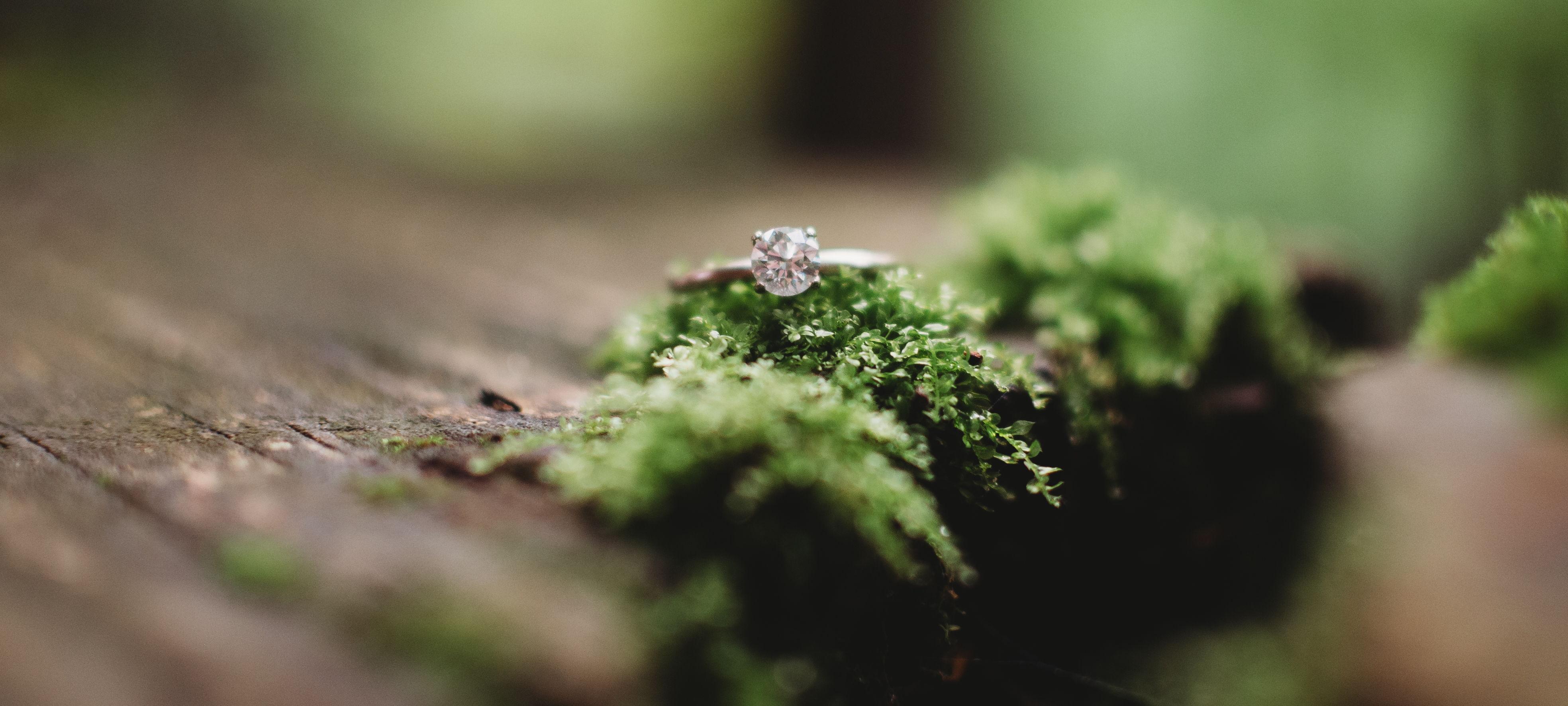 The Wedding Website of Morgen Poisson and Zachary Poisson