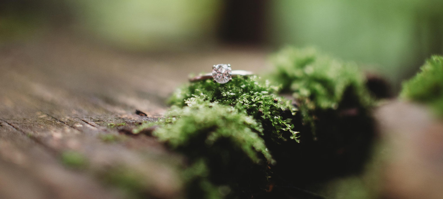The Wedding Website of Morgen Poisson and Zachary Poisson