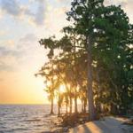 Fontainebleau State Park