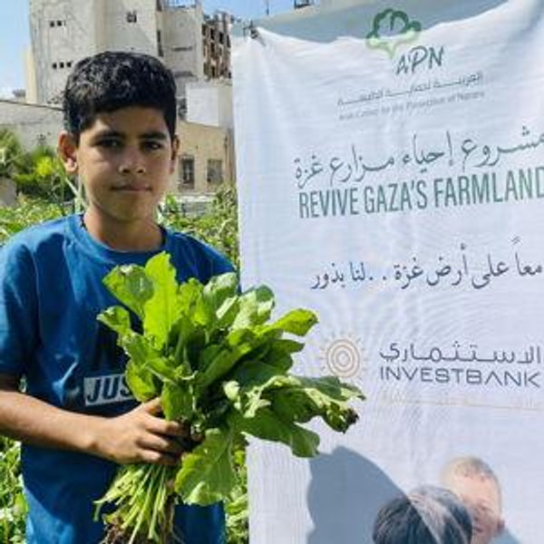 Revive Gaza’s Farmland