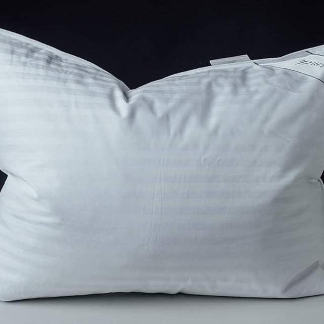 Eastwarmth Goose Down Feather Soft Pillows One Pillow 100% Cotton Supportive Bed Pillow Stripe White Color Queen Size 20x30 inch