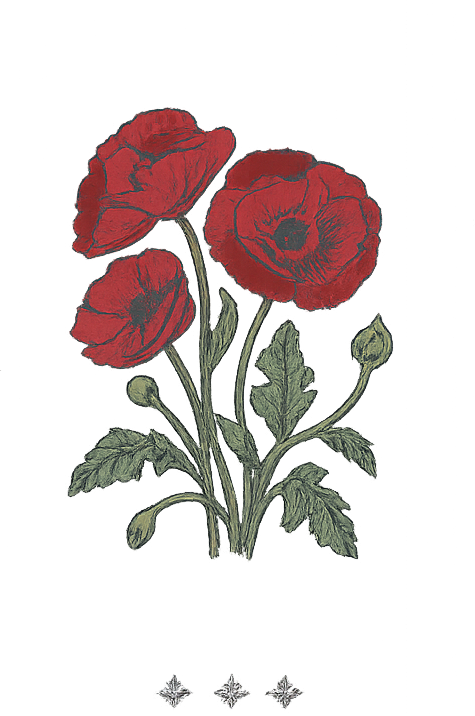 The Wedding Website of Andie Sweeney and Thomas O'Hara