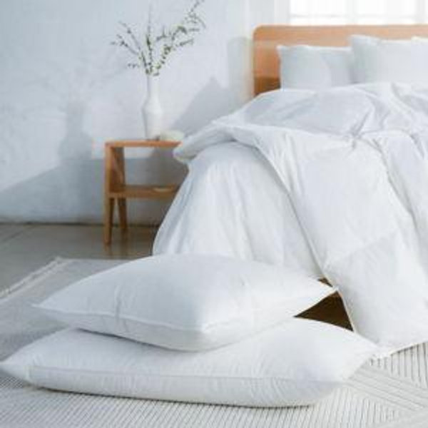 Down Pillow, Size: Standard, Feel: Soft, 2 - Pack