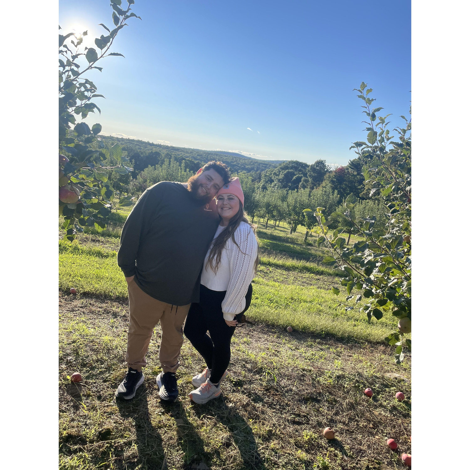 Massachusetts apple orchard