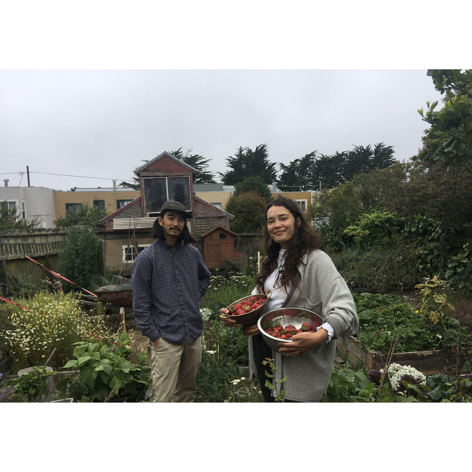Many days in the foggy Sunset spent sowing seeds, tending the plants, watching birds and bees, cooking over the fire, hosting meals, and working on garden projects together