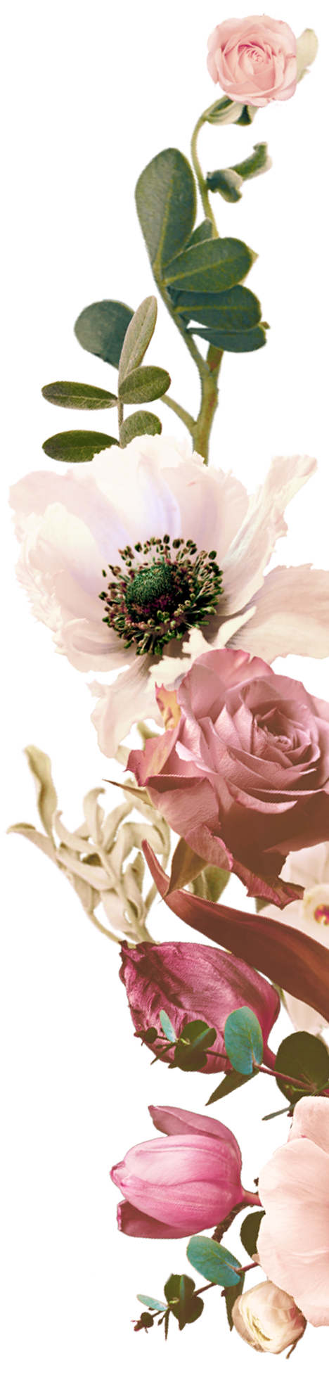 Arianna Viola and Cy Stoudt's Wedding Website, image size:468x1952