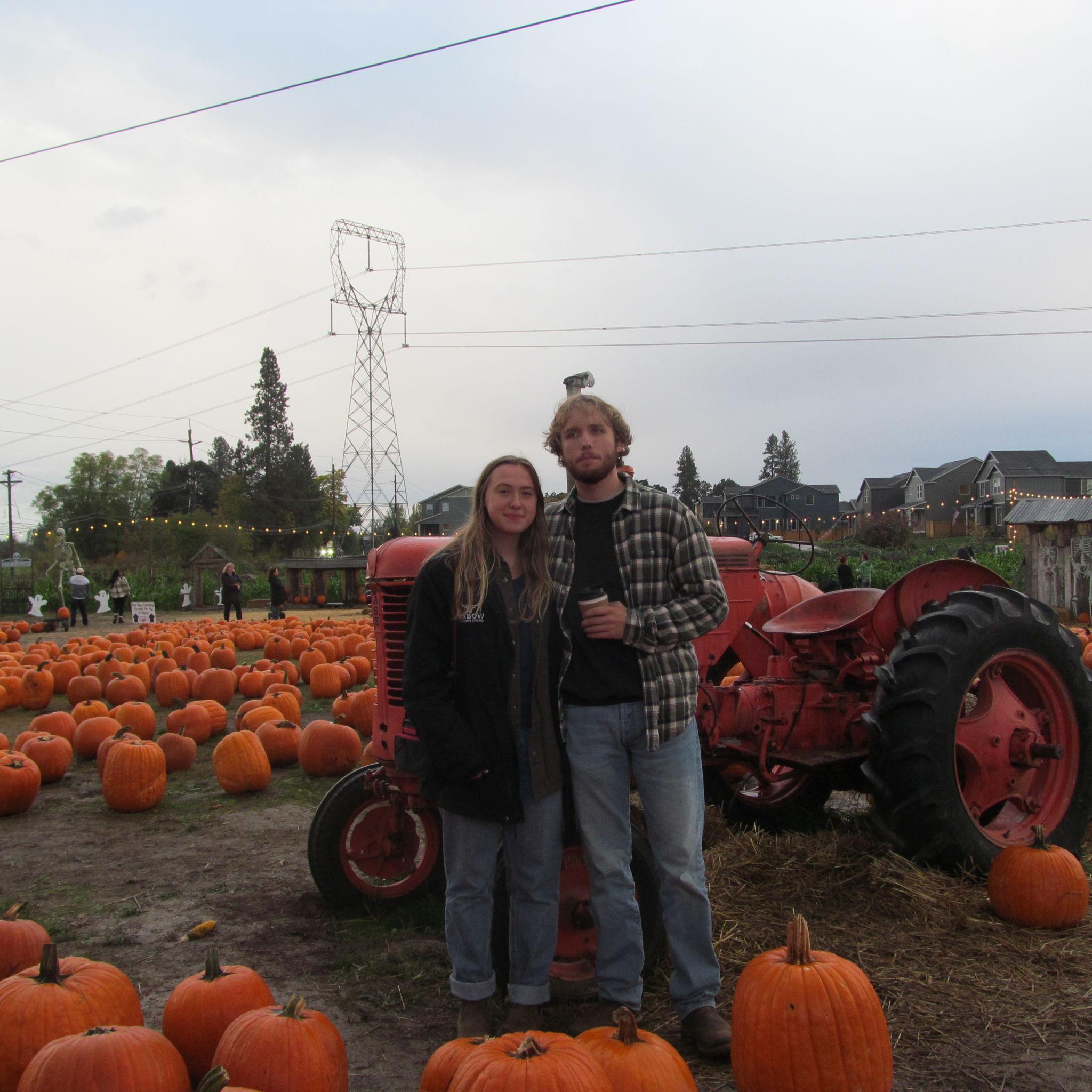 pumpkin patch !
